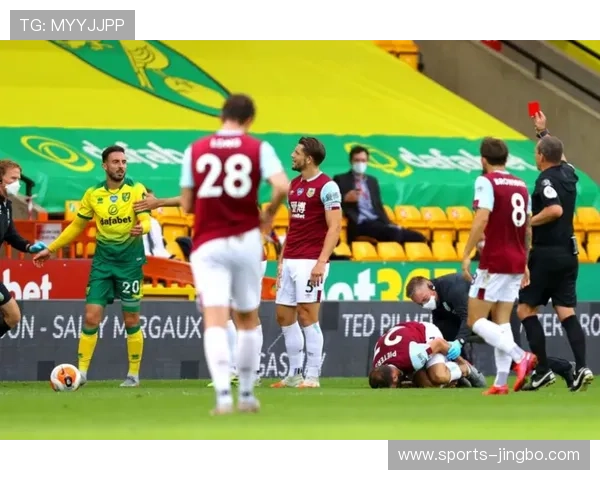 爱博体育竞猜的市场潜力与用户体验提升探讨