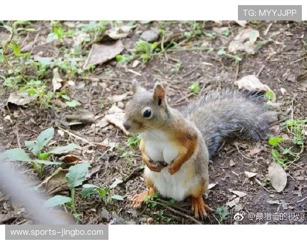 亚博体育开户下载官网:用户注册流程详细步骤与注意事项 亚博体育开户下载官网:用户注册流程详细步骤与注意事项