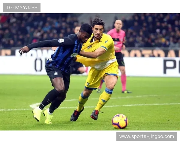 米兰体育手机版的使用体验与评价分析