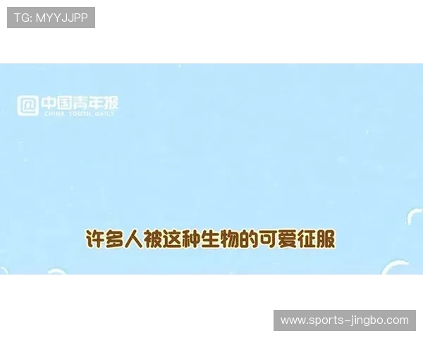 韦德投注平台推荐与安全保障全面解析