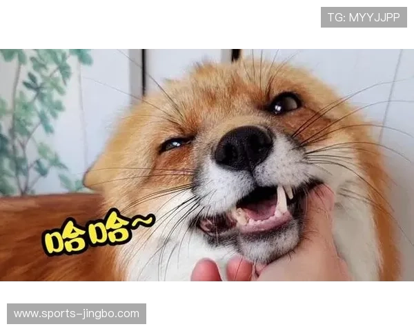 万狗体育下载详细教程，步骤清晰指导用户快速安装并开启精彩体育赛事直播